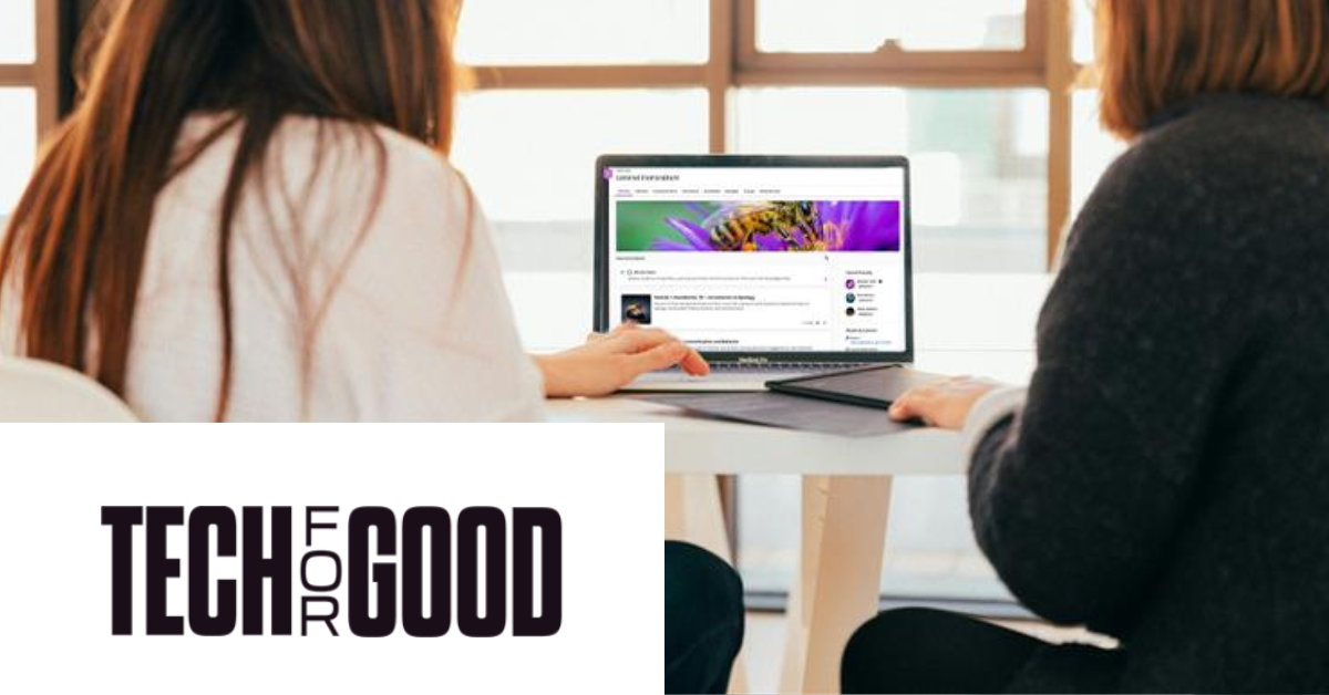 Two people sitting at a table, looking at a laptop with a Blackboard course on the screen in a brightly lit room with large windows. 