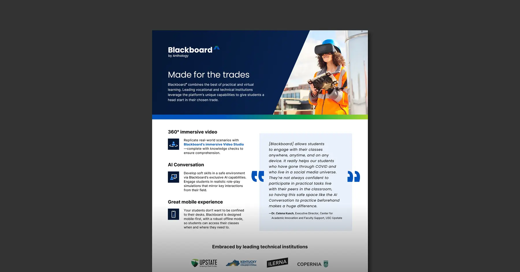 Preview of the Blackboard for vocational schools data sheet over a gray background