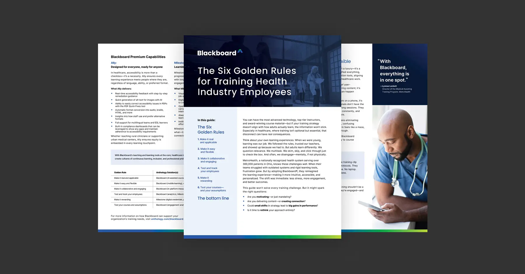 Preview of the Blackboard data sheet, The Six Golden Rules for Training Health Industry Employees, over a gray background