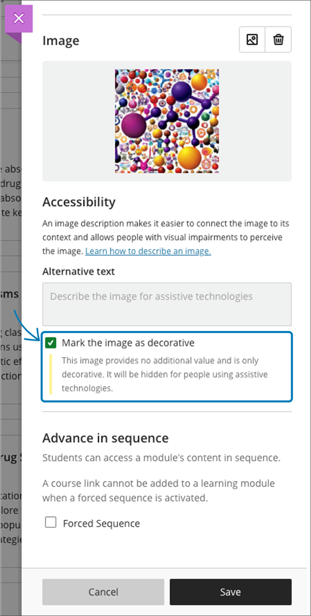 Imagen 5: Imagen marcada como decorativa