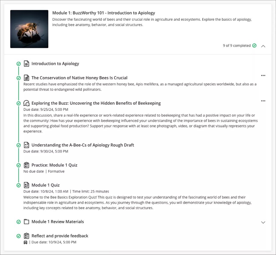 Image 5. Student view: Content item presentation for a Learning Module